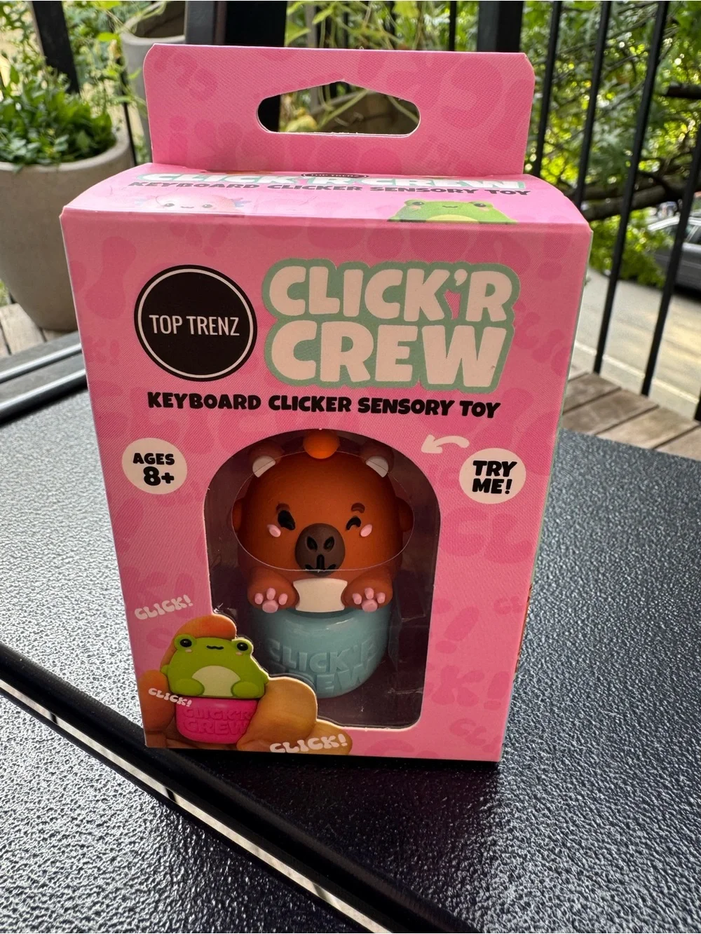 Click'R Crew Brown Bear Keyboard Clicker Sensory Toy - Brown/Teal